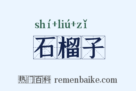 石榴子是什么意思的图片